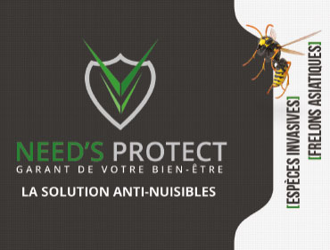 estruction de nid de guêpes Need's Protect