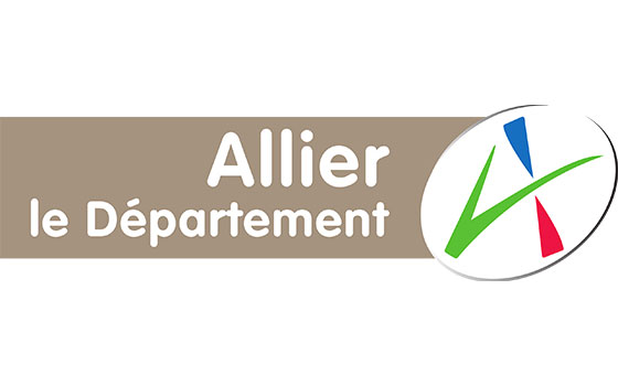 Destruction des nids de guêpes, frelons et frelons asiatiques – enlèvement de nids d’abeilles –ALLIER