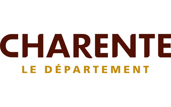 Destruction de nid de frelons dans le departement Charente