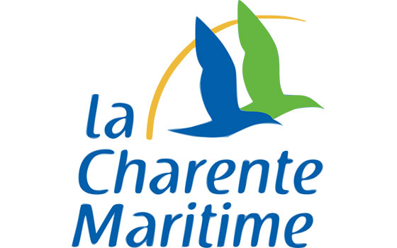 Destruction de nid de frelons dans le departement Charente-Maritime