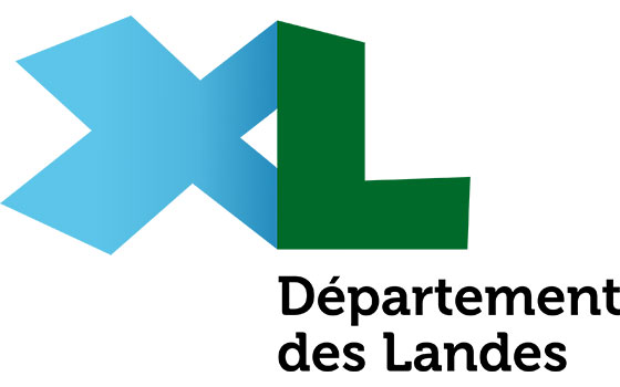 Destruction de nid de frelons dans le departement Landes