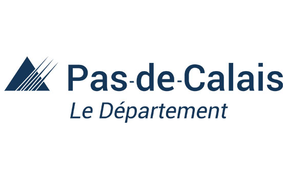 Destruction de nid de guêpes dans le departement Pas-de-Calais