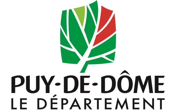 Destruction des nids de guêpes, frelons et frelons asiatiques - PUY de DOME