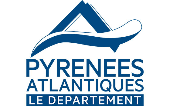 Destruction de nid de frelons dans le departement Pyrénées-Atlantiques