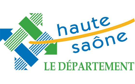 Destruction de nid de frelons dans le departement Haute-Saône
