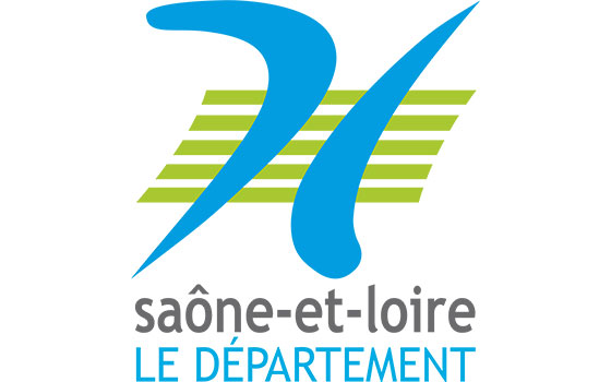 Destruction de nid de frelons dans le departement Saône-et-Loire