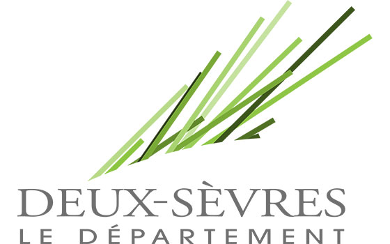 Destruction de nid de frelons dans le departement Deux-Sèvres