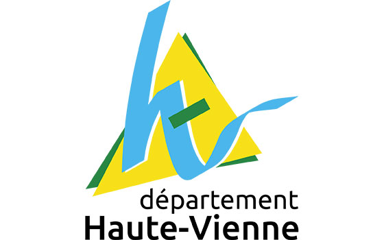 Destruction de nid de frelons dans le departement Haute-Vienne