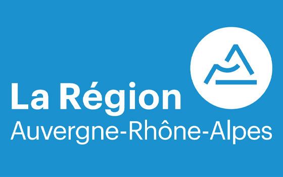Destruction de nid de frelons en region Auvergne-Rhône-Alpes