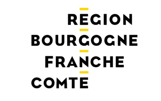 Destruction de nid de guêpes Bourgogne-Franche-Comté